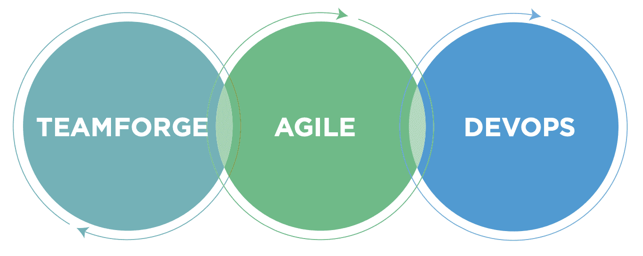 Teamforge Kunden: Venn-Diagramm für Fähigkeiten